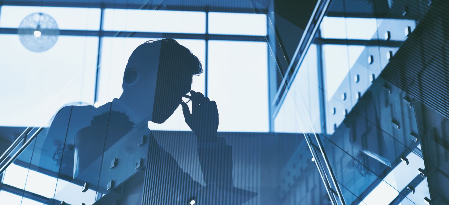 Nominee Director Responsibilities Lionsworld