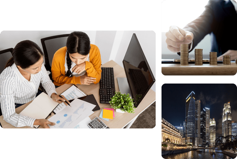 Lionsworld Bookkeeping Services