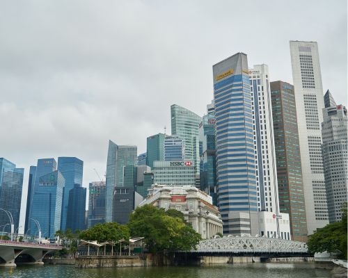 Lionsworld What is a Business Centre